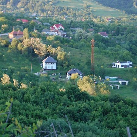 Cottage Poe Poienari Экстерьер фото