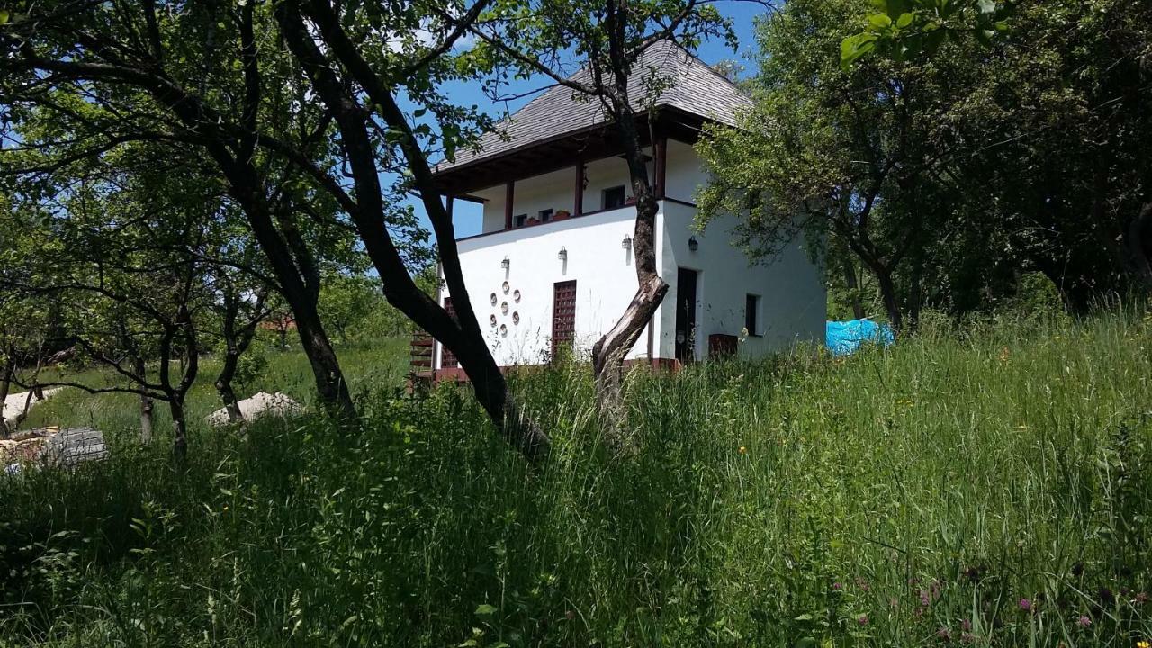 Cottage Poe Poienari Экстерьер фото