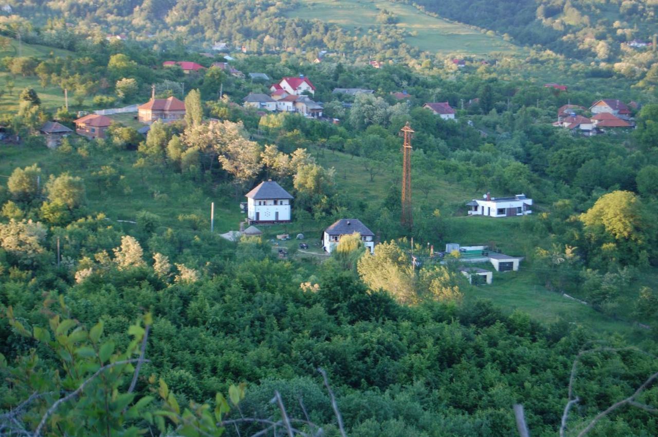 Cottage Poe Poienari Экстерьер фото