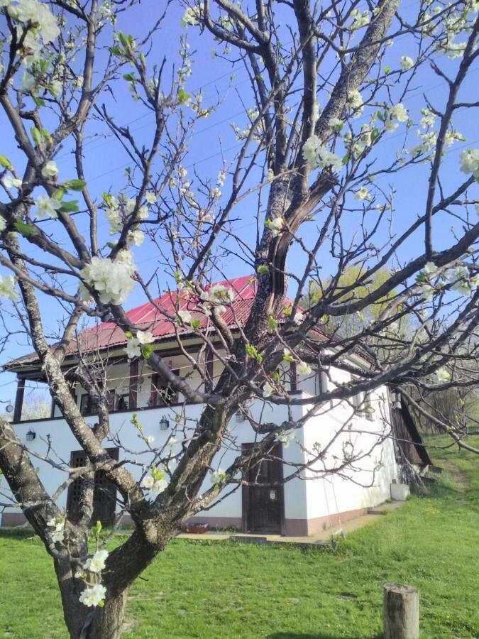 Cottage Poe Poienari Экстерьер фото