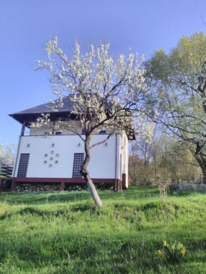 Cottage Poe Poienari Экстерьер фото