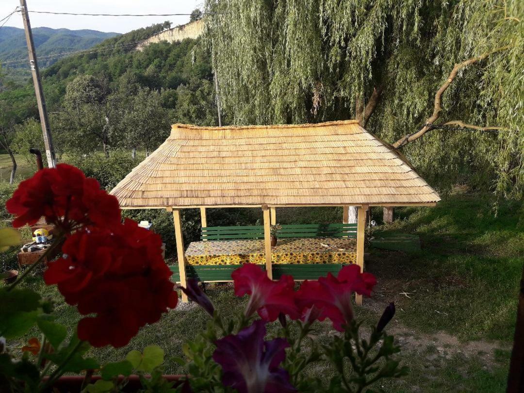 Cottage Poe Poienari Экстерьер фото